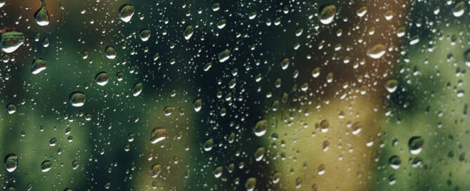 Raindrops on a window with a blurry green leafy background.