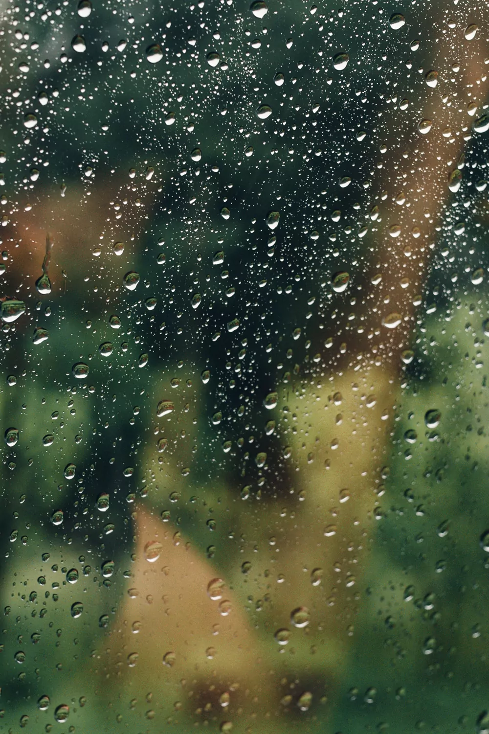 Raindrops on a window with a blurry green leafy background.