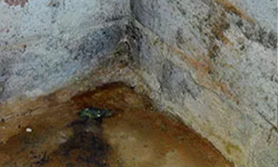Mold in a damp crawl space corner with discolored walls and floor.
