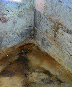 Mold in a crawl space.