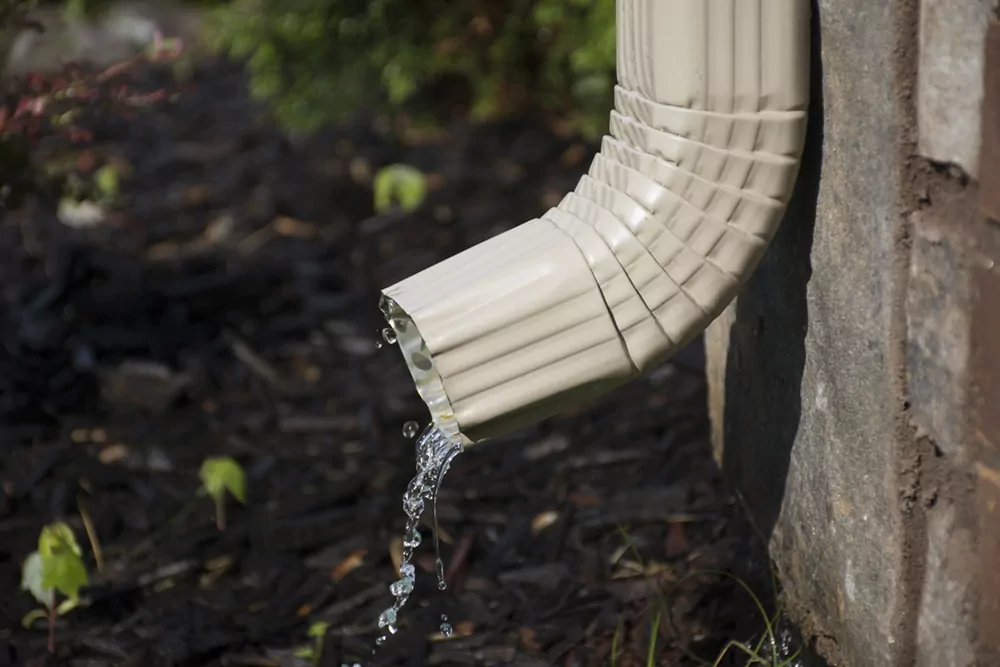 A rain gutter downspout with water coming out from the side, with a flower bed in the background.