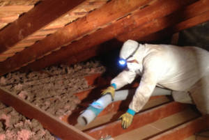 Benefits of Removing Old Attic Insulation