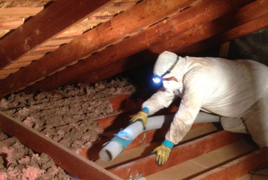 Worker removing insulation in an attic.